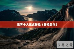 世界十大花式转枪（转枪动作）
