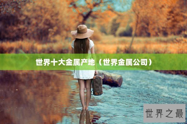 世界十大金属产地（世界金属公司）