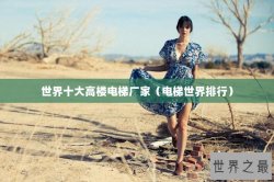 世界十大高楼电梯厂家（电梯世界排行）