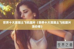 世界十大混凝土飞机图片（世界十大混凝土飞机图片及价格）
