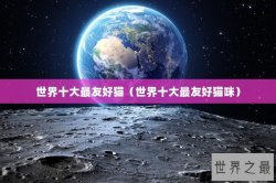 世界十大最友好猫（世界十大最友好猫咪）
