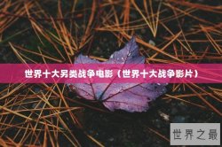 世界十大另类战争电影（世界十大战争影片）