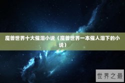 魔兽世界十大催泪小说（魔兽世界一本催人泪下的小说）