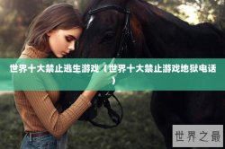 世界十大禁止逃生游戏（世界十大禁止游戏地狱电话）