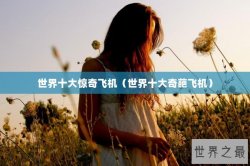 世界十大惊奇飞机（世界十大奇葩飞机）