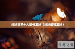 排球世界十大恐怖发球（排球最强发球）