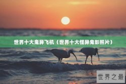 世界十大鬼异飞机（世界十大怪异鬼影照片）