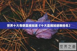 世界十大奇葩直线加速（十大直线加速器排名）