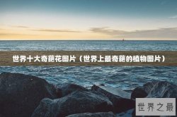 世界十大奇葩花图片（世界上最奇葩的植物图片）