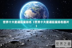 世界十大柔道巨星排名（世界十大柔道巨星排名图片）