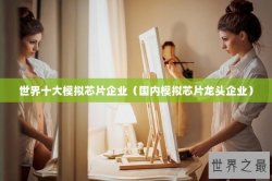 世界十大模拟芯片企业（国内模拟芯片龙头企业）