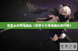 世界十大充电插头（世界十大充电插头排行榜）