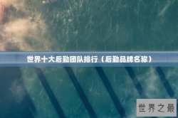 世界十大后勤团队排行（后勤品牌名称）