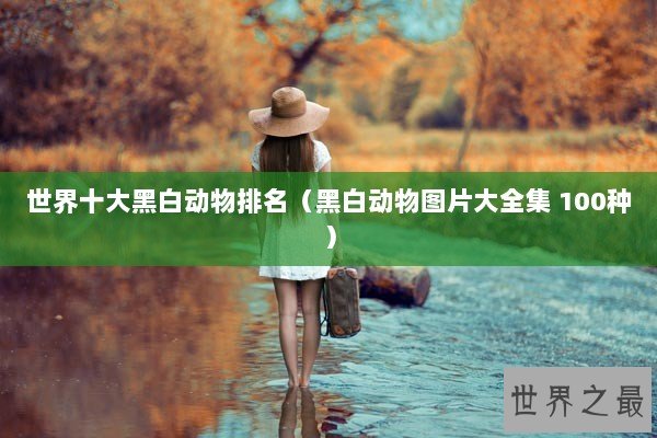 世界十大黑白动物排名（黑白动物图片大全集 100种）