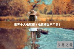 世界十大电解槽（电解槽生产厂家）