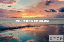 世界十大帅气坦克的简单介绍