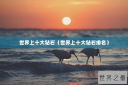 世界上十大钻石（世界上十大钻石排名）