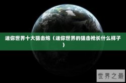 迷你世界十大狙击炮（迷你世界的狙击枪长什么样子）