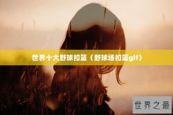 世界十大野球扣篮（野球场扣篮gif）