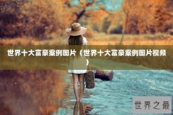世界十大富豪案例图片（世界十大富豪案例图片视频）