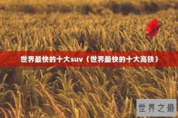 世界最快的十大suv（世界最快的十大高铁）