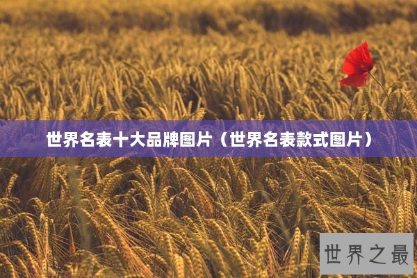 世界名表十大品牌图片（世界名表款式图片）