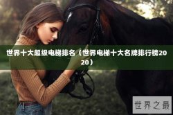 世界十大超级电梯排名（世界电梯十大名牌排行榜2020）