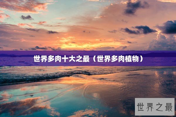世界多肉十大之最(世界多肉植物) 世界多肉十大之最(世界多肉植物)