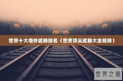 世界十大奇妙武器排名（世界顶尖武器大全视频）