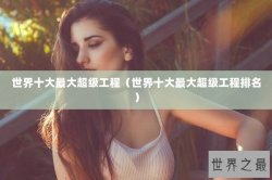 世界十大最大超级工程（世界十大最大超级工程排名）