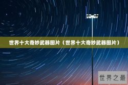 世界十大奇妙武器图片（世界十大奇妙武器图片）