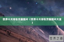 世界十大停车方案图片（世界十大停车方案图片大全）