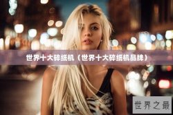 世界十大碎纸机（世界十大碎纸机品牌）