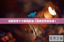 战舰世界十大瞬间射击（战舰世界射击表）