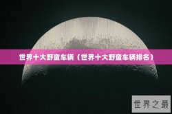 世界十大野蛮车辆（世界十大野蛮车辆排名）