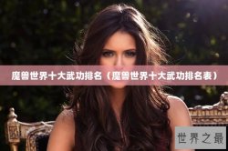 魔兽世界十大武功排名（魔兽世界十大武功排名表）