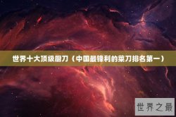 世界十大顶级厨刀（中国最锋利的菜刀排名第一）