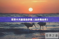 世界十大最佳台步舞（台步舞台秀）