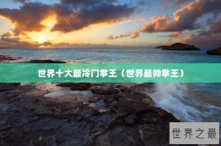 世界十大最冷门拳王（世界最帅拳王）