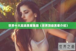世界十大高级黑客集团（世界顶级黑客介绍）