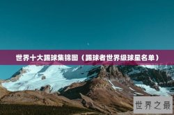 世界十大踢球集锦图（踢球者世界级球星名单）
