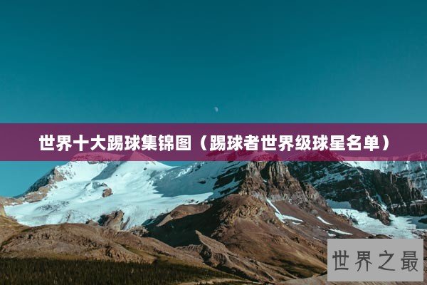 世界十大踢球集锦图（踢球者世界级球星名单）