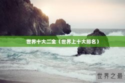 世界十大二全（世界上十大排名）
