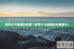 世界十大最矮的夫妻（世界十大最矮的夫妻图片）