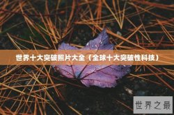 世界十大突破照片大全（全球十大突破性科技）