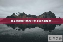 簪子品牌排行世界十大（簪子哪家好）