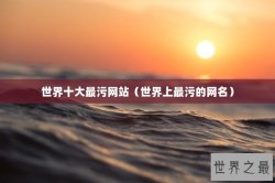 世界十大最污网站（世界上最污的网名）