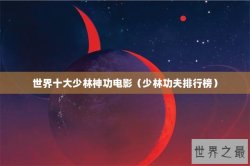 世界十大少林神功电影（少林功夫排行榜）