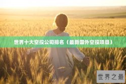 世界十大空投公司排名（最新国外空投项目）