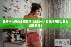 世界十大天价名酒图片（全球十大名酒排行榜世界上最贵的酒）